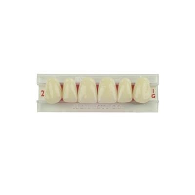 American Tooth Industries - Justi Kind Decidious Plastic Teeth