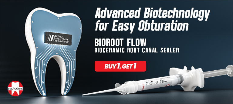 Septodont BioRoot Flow